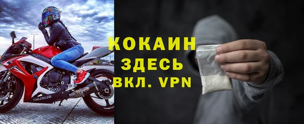 mdpv Бородино