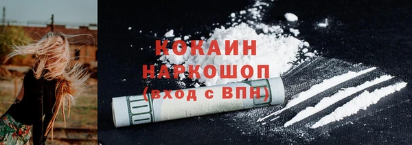 mdpv Бородино