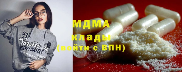 mdpv Бородино