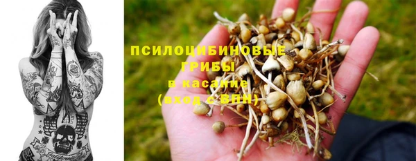 mdpv Бородино