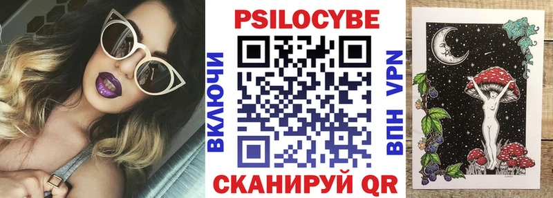 Псилоцибиновые грибы Psilocybine cubensis Купить закладки Благовещенск